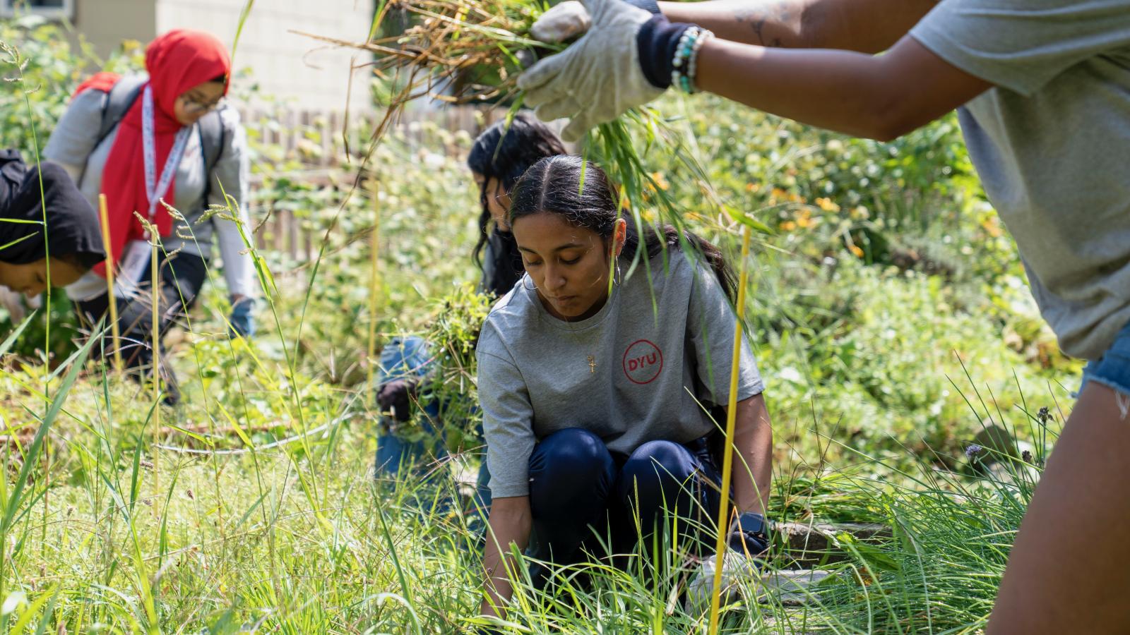 woman crouches in a garden weeding.