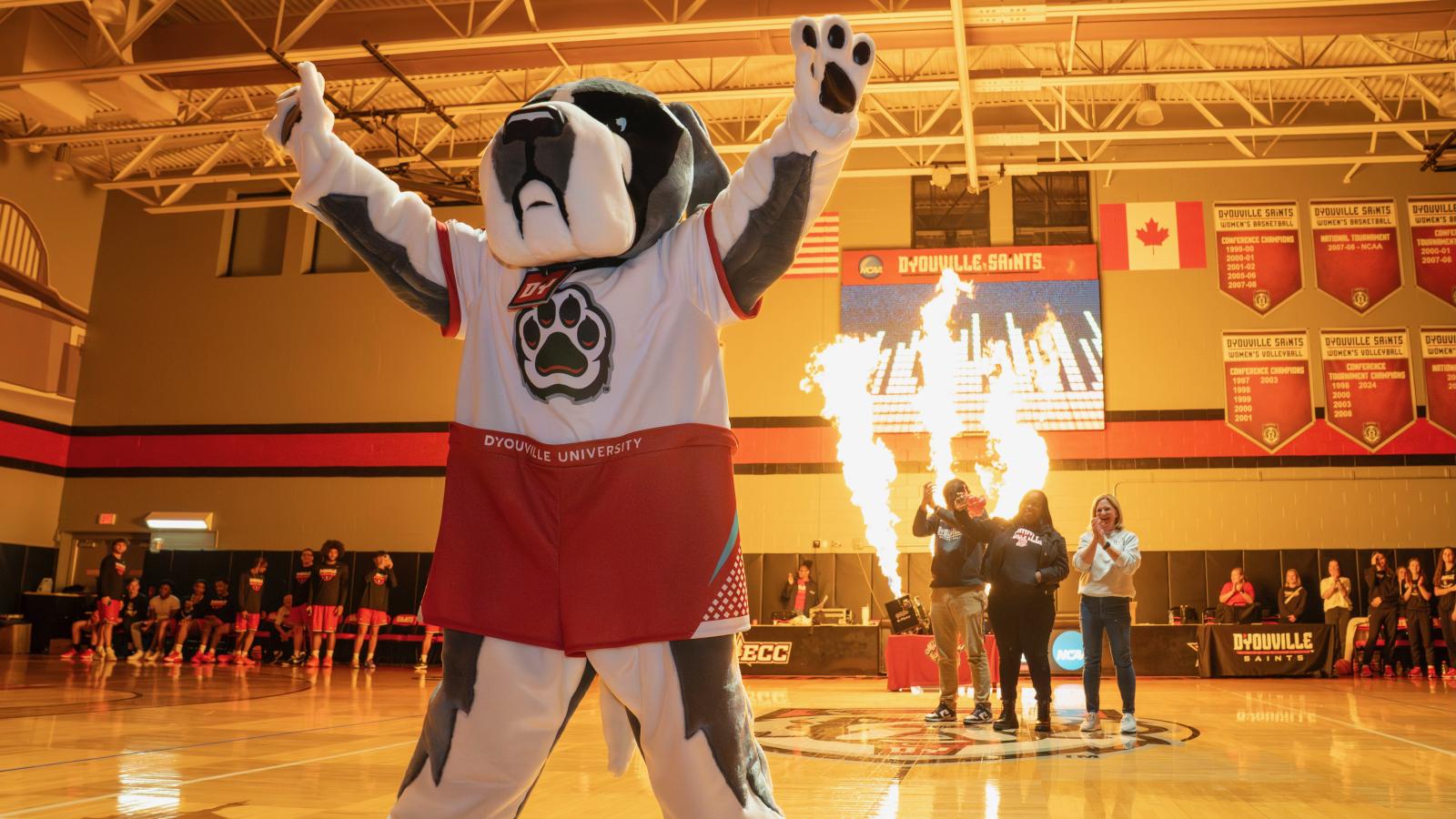 mascot dog stands raising their arms. Pyro goes off in the background of a gym.