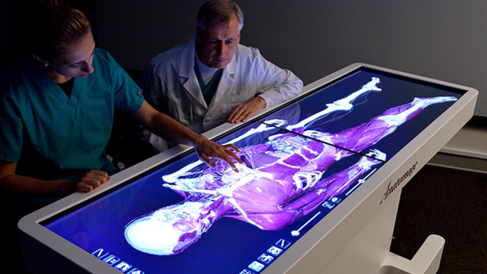 DâYouville Receives Grant for Innovative Virtual Dissection Table