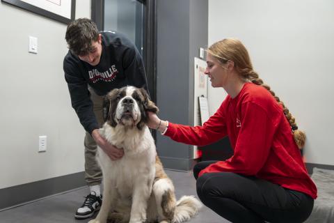 Two students pet one of the school mascots, a Saint Bernard named Maggie.