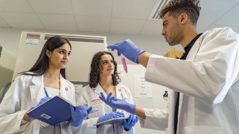 three people stand in white coats. one holds a test tube with purple liquid.