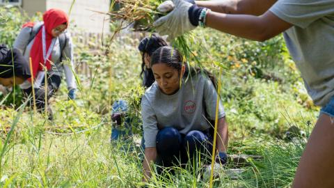 woman crouches in a garden weeding.