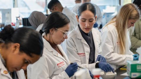 a row of women stand at a counter with white coats and gloves. They are working with mortar and pestle 