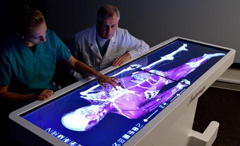 DâYouville Receives Grant for Innovative Virtual Dissection Table