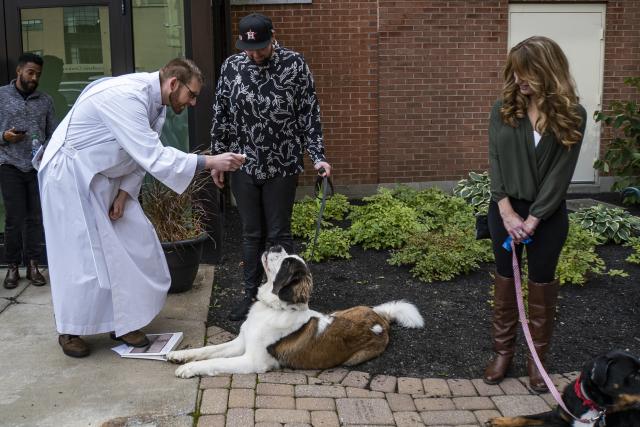 A priest gives a blessing to a pet dog