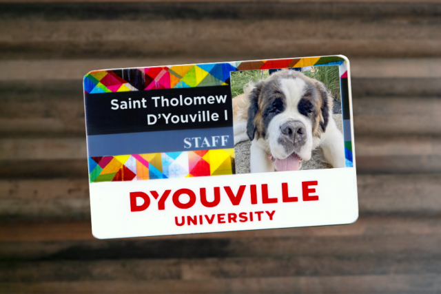 Saint Tholomew D'Youville I ID Card