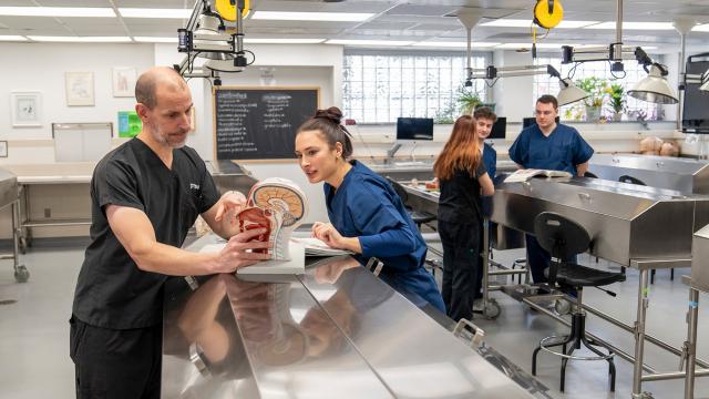 Student and professor are standing in a cadaver lab at a table observing a medical model