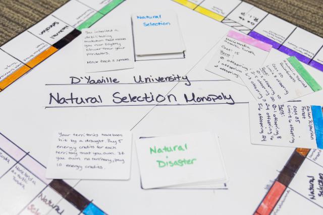 Game board similar to monopoly. It reads D'Youville University Natural Selection Monopoly.