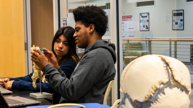 two students observe medical models in a classroom